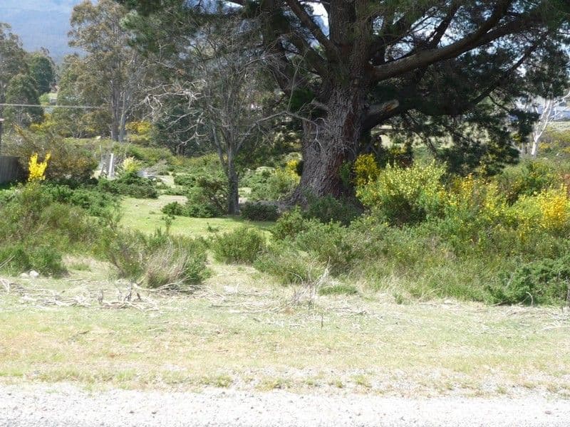 13 Walter Street, ROSSARDEN TAS 7213, Rossarden - Thumbnail 2