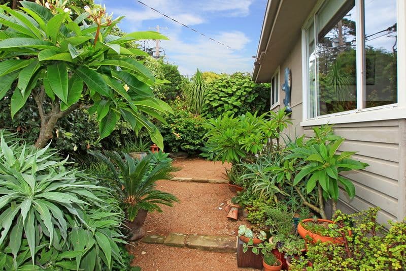 41 Blackwood Street, GERRINGONG NSW 2534, Gerringong - Thumbnail 5