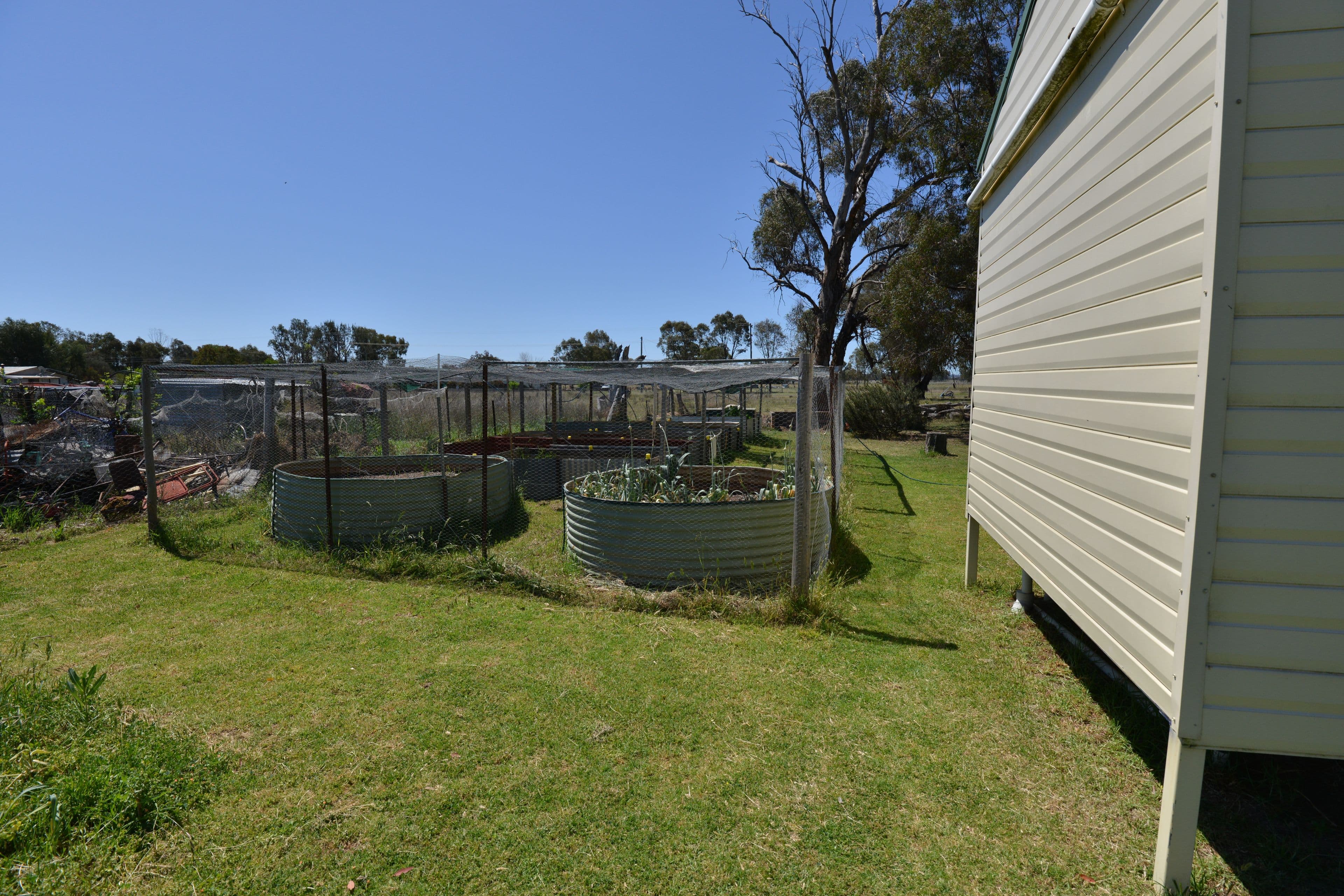 63 SOUTH Street, Ulamambri NSW 2357, Ulamambri - Thumbnail 7