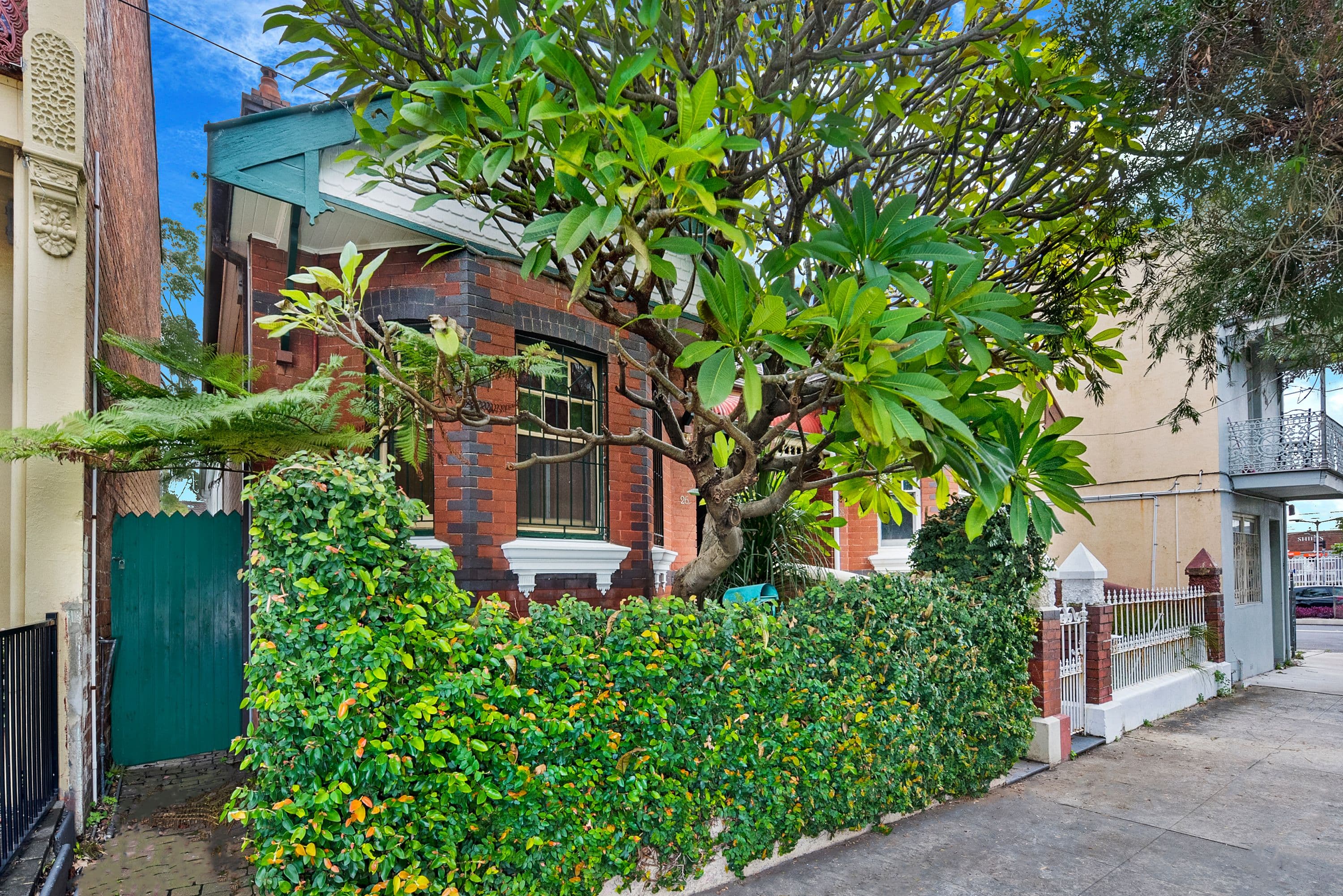 26 Hogan Avenue, Sydenham - Thumbnail 6
