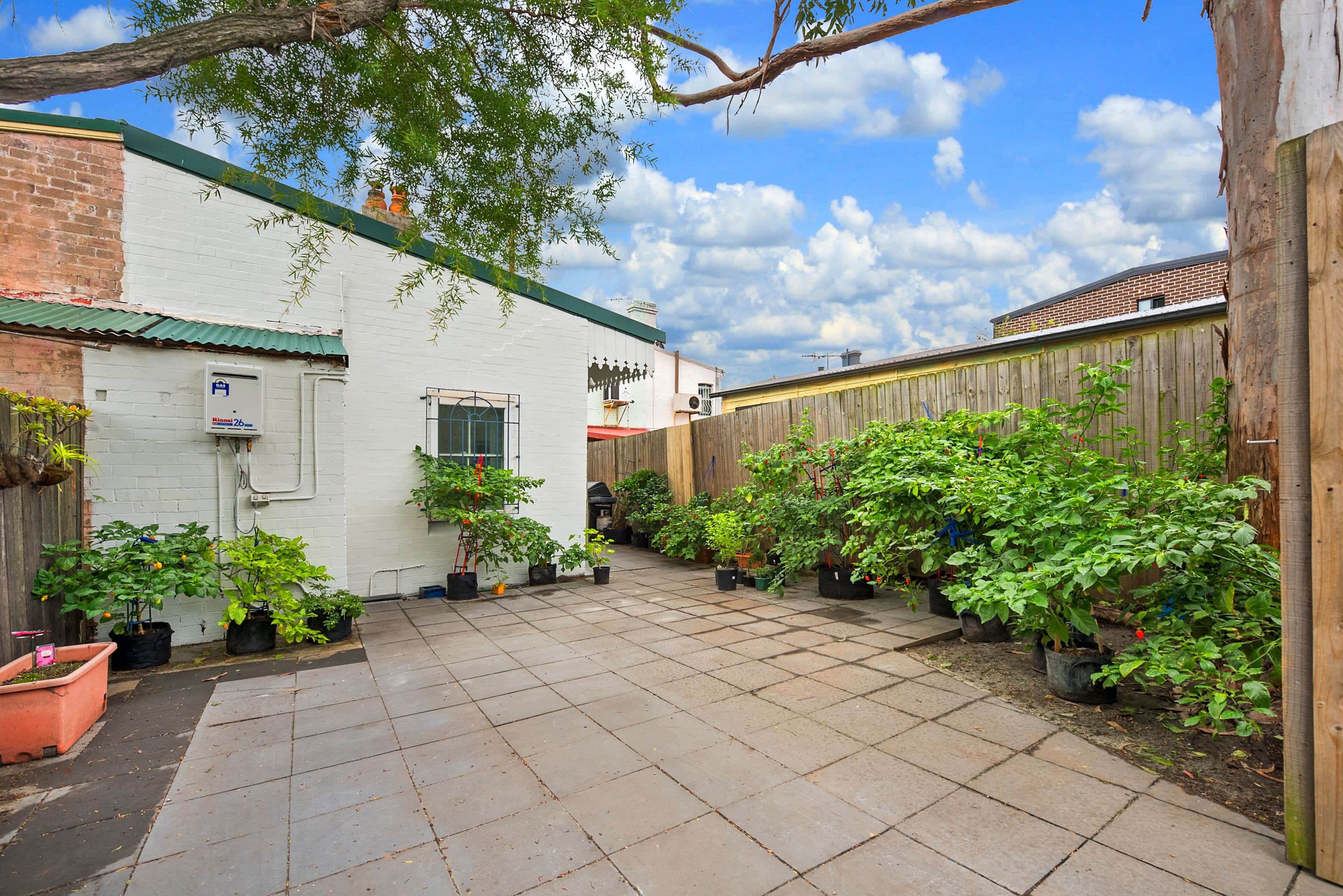 26 Hogan Avenue, Sydenham - Thumbnail 8