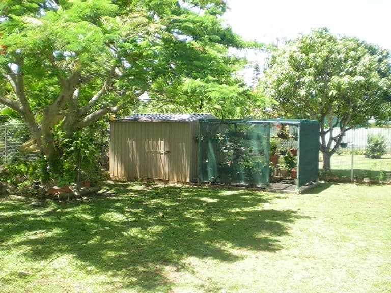 7 Chenery Court, AVENELL HEIGHTS QLD 4670, Avenell Heights - Thumbnail 6