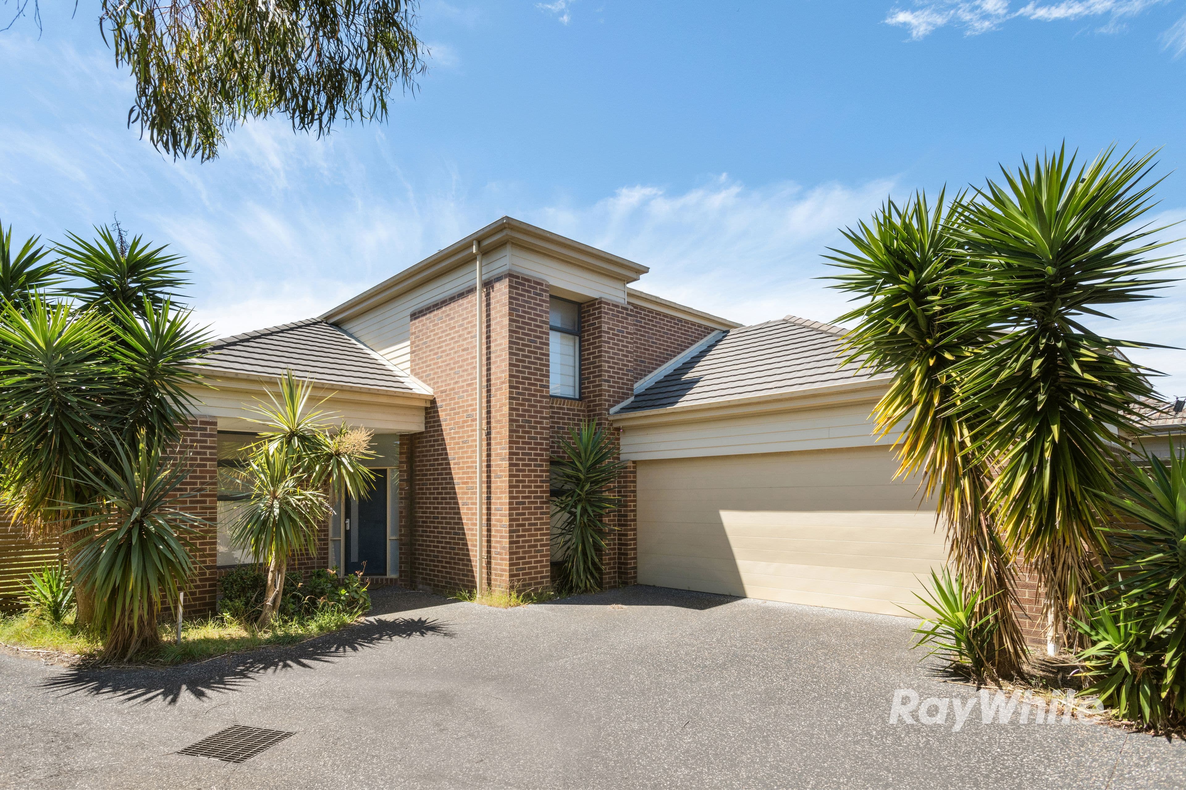 3 Vunabere Avenue, Bentleigh VIC 3204, Bentleigh - Thumbnail 3