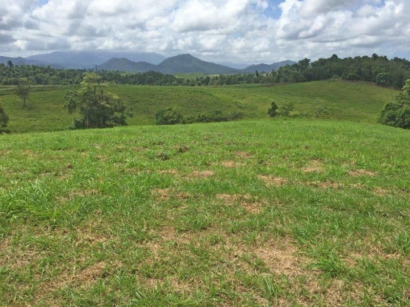 Lot 2 0 Rainforest Falls Road, East Palmerston QLD 4860, East Palmerston - Image 1
