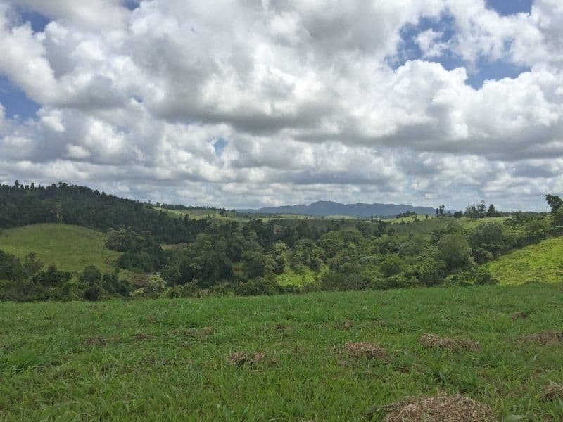 Lot 2 0 Rainforest Falls Road, East Palmerston QLD 4860, East Palmerston - Thumbnail 3