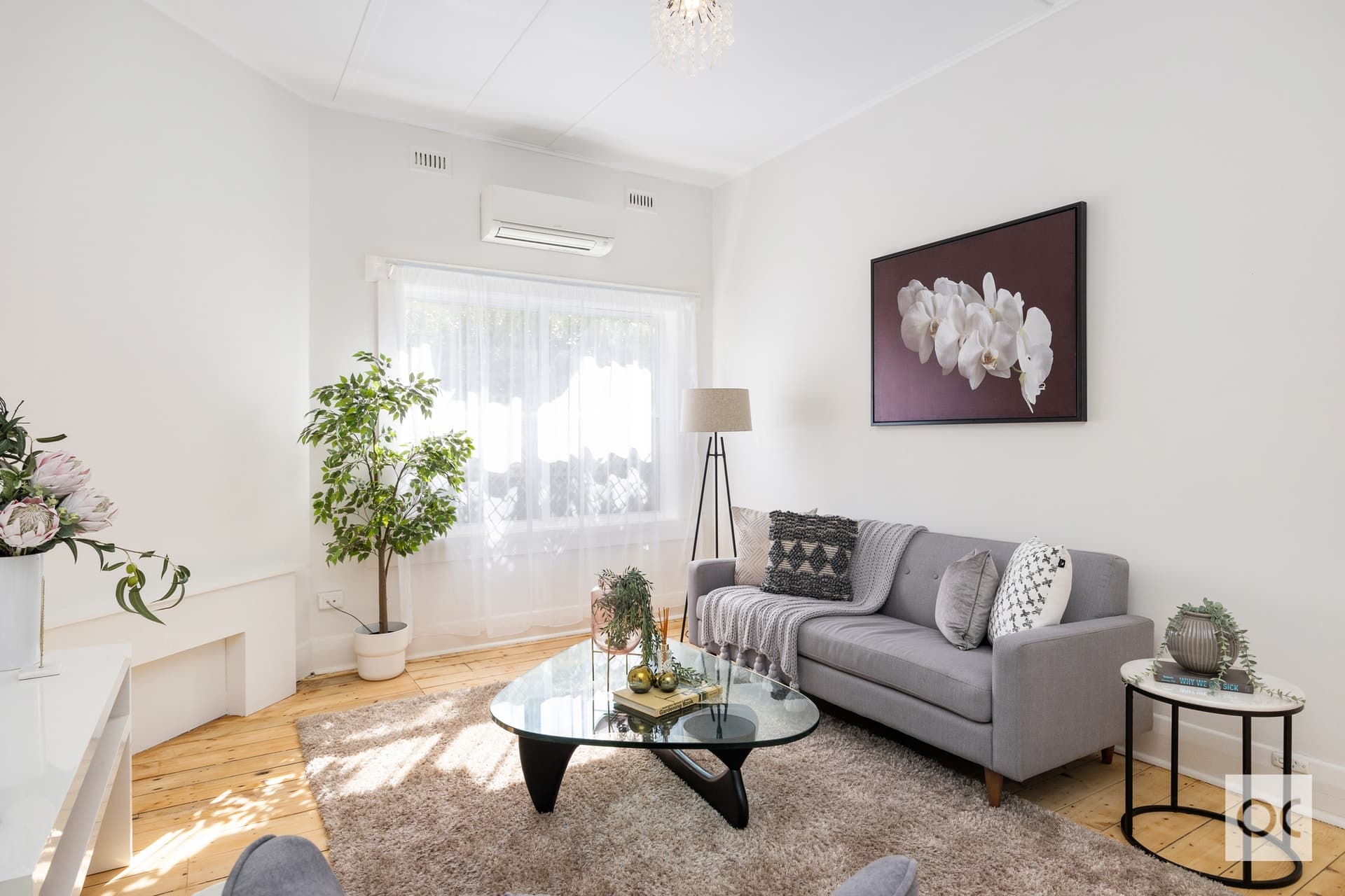 21 Wright Street, Edwardstown - Thumbnail 5