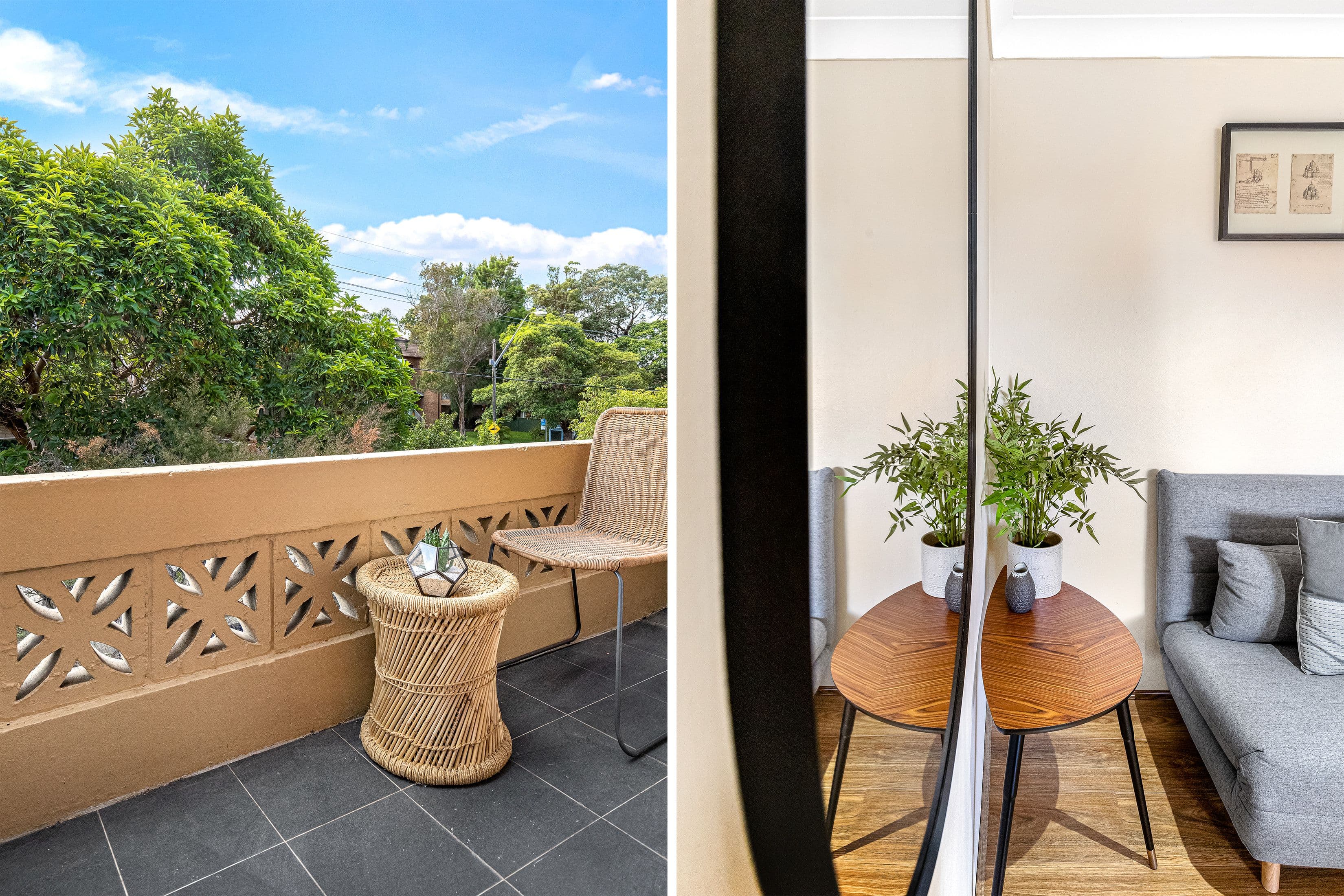 36 Claremont Street, Campsie NSW 2194, Campsie - Thumbnail 2