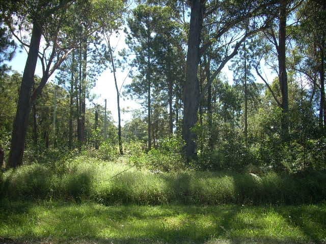 14-16 Maroondah Street, Russell Island QLD 4184, Russell Island - Thumbnail 2
