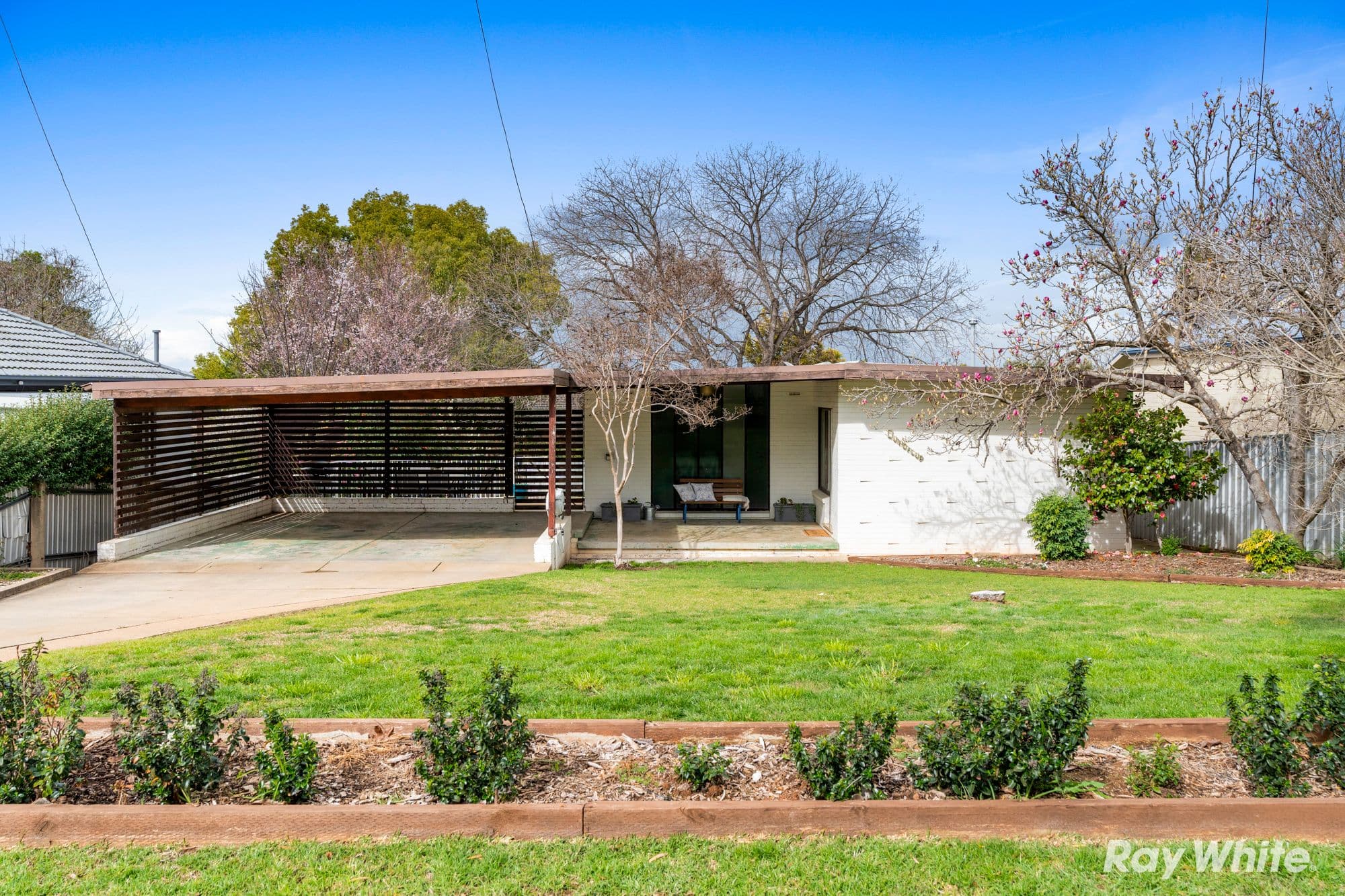 81 Meadow Street, Kooringal NSW 2650, Kooringal - Image 1