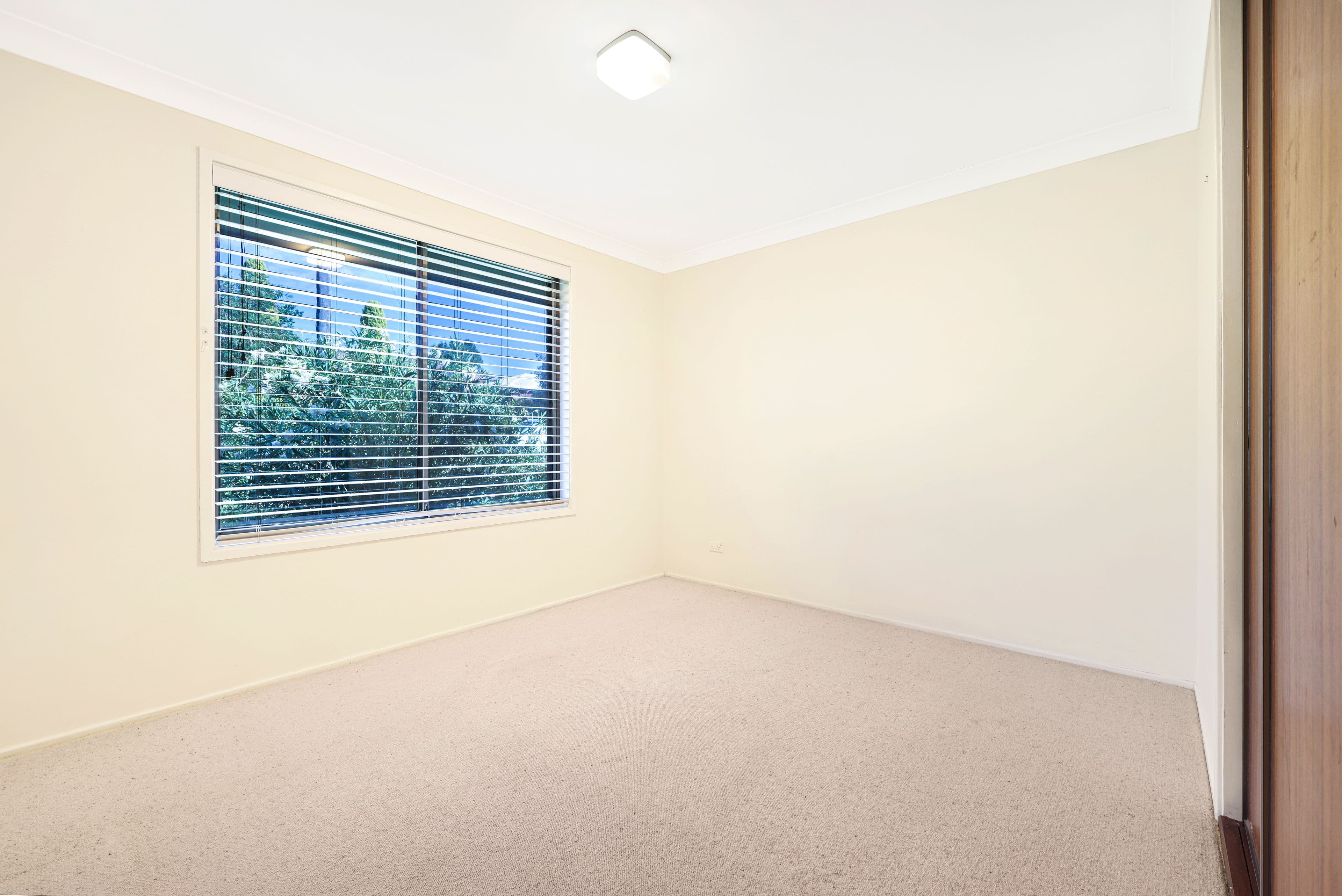77 Edward Street, Tamworth NSW 2340, Hillvue - Thumbnail 7