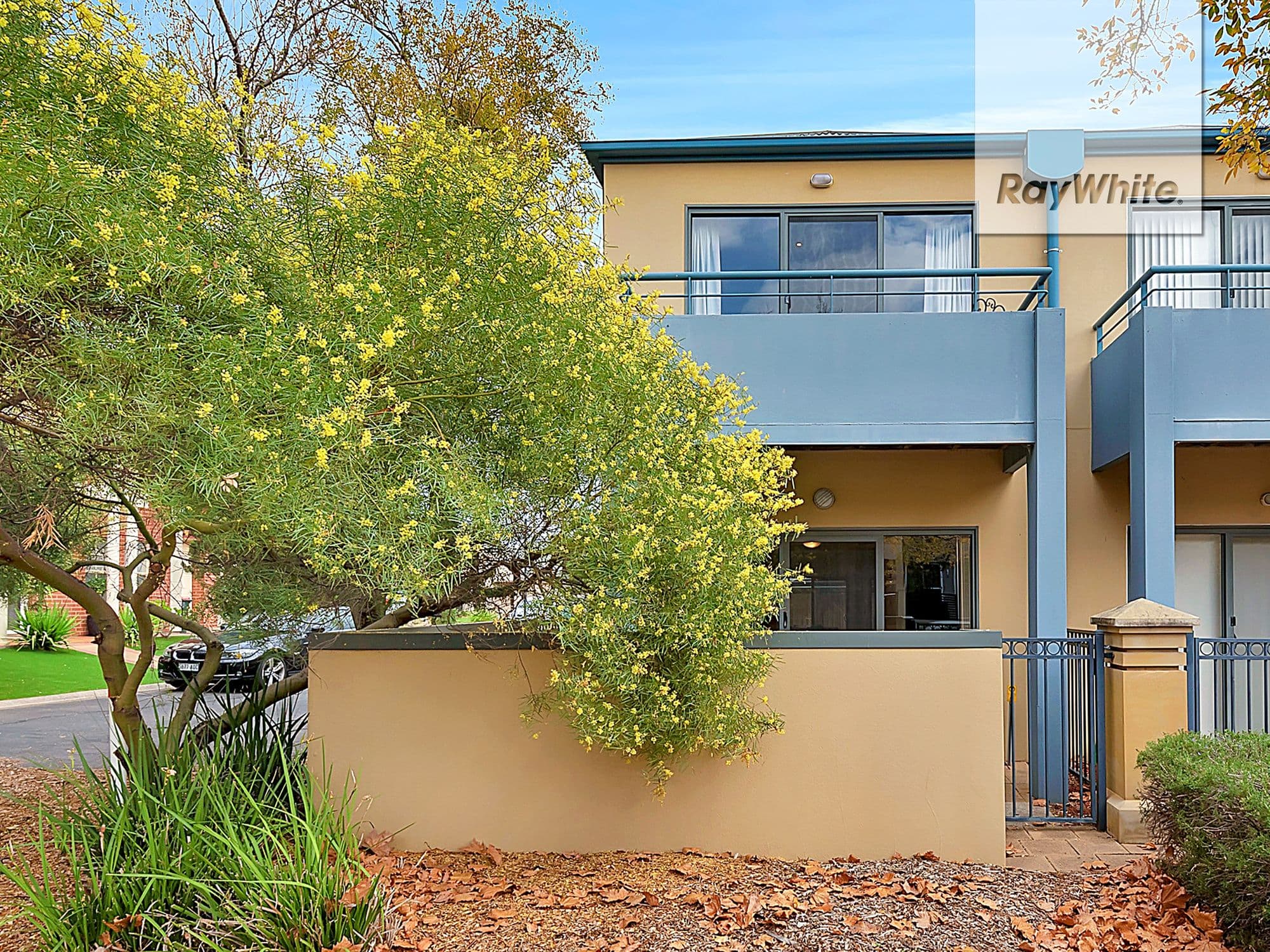 8, 2 Greentree Place, Mawson Lakes SA 5095, Mawson Lakes - Image 1