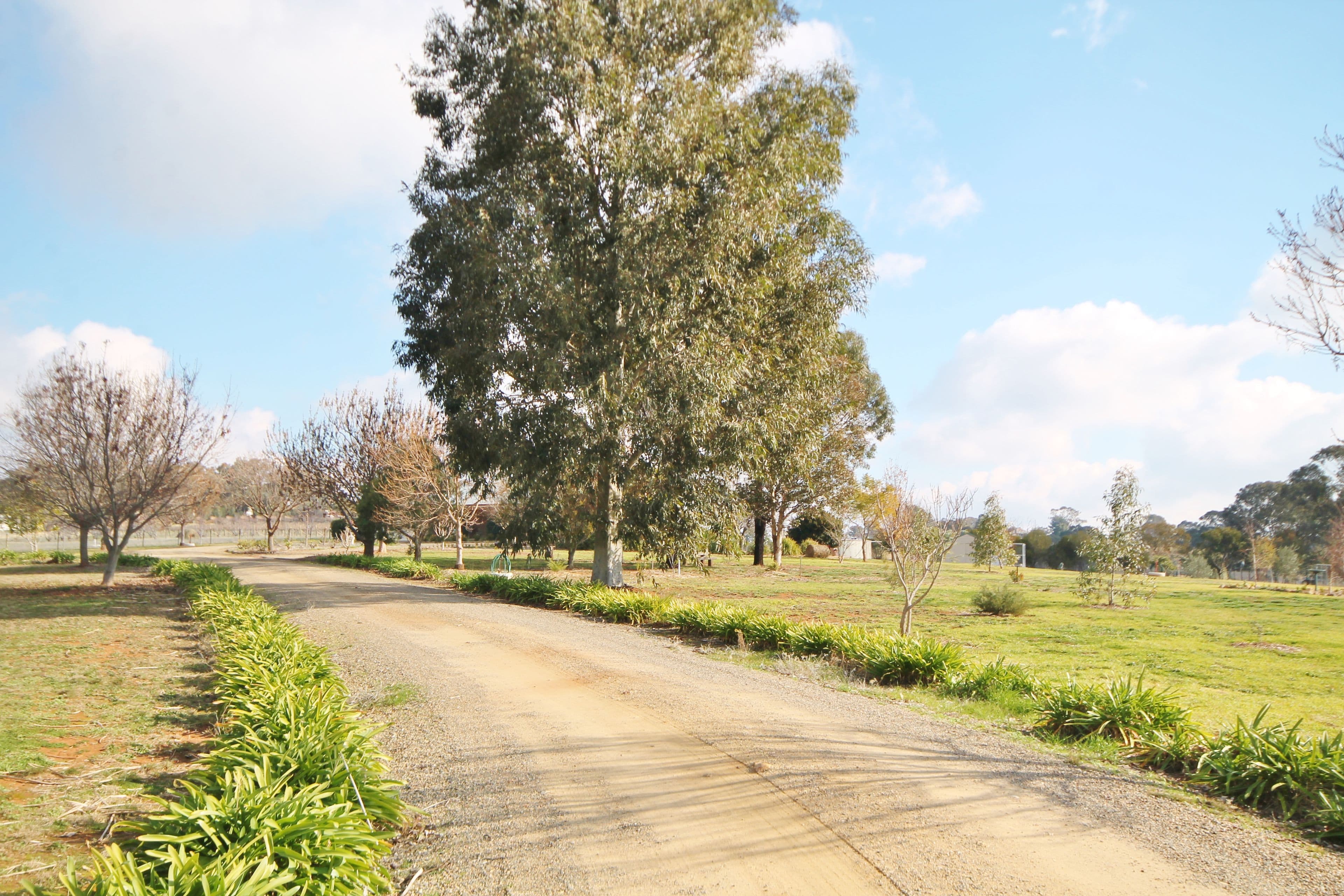 81 Tipperary Lane, Young - Thumbnail 3