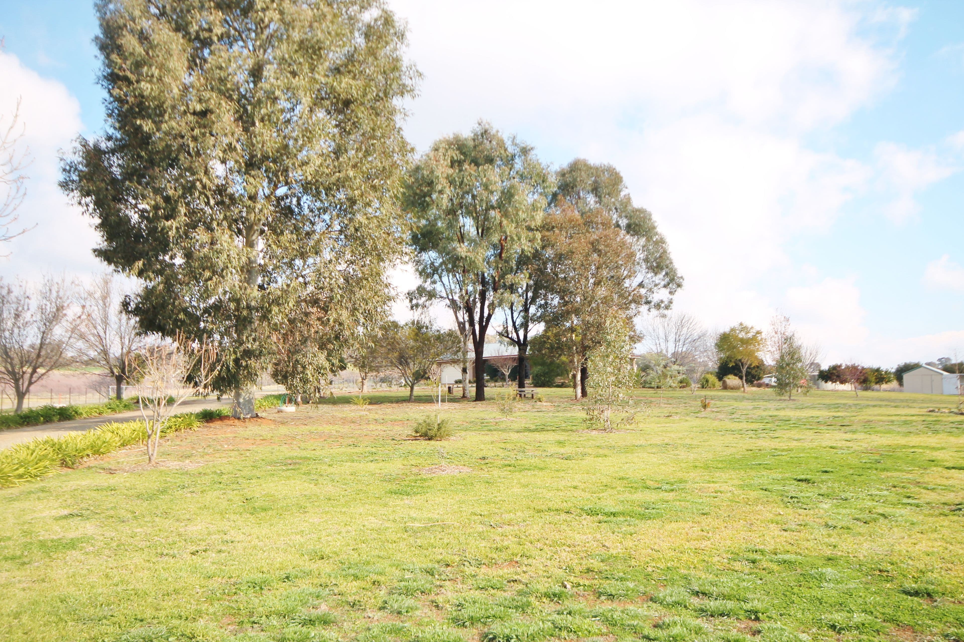 81 Tipperary Lane, Young - Thumbnail 4