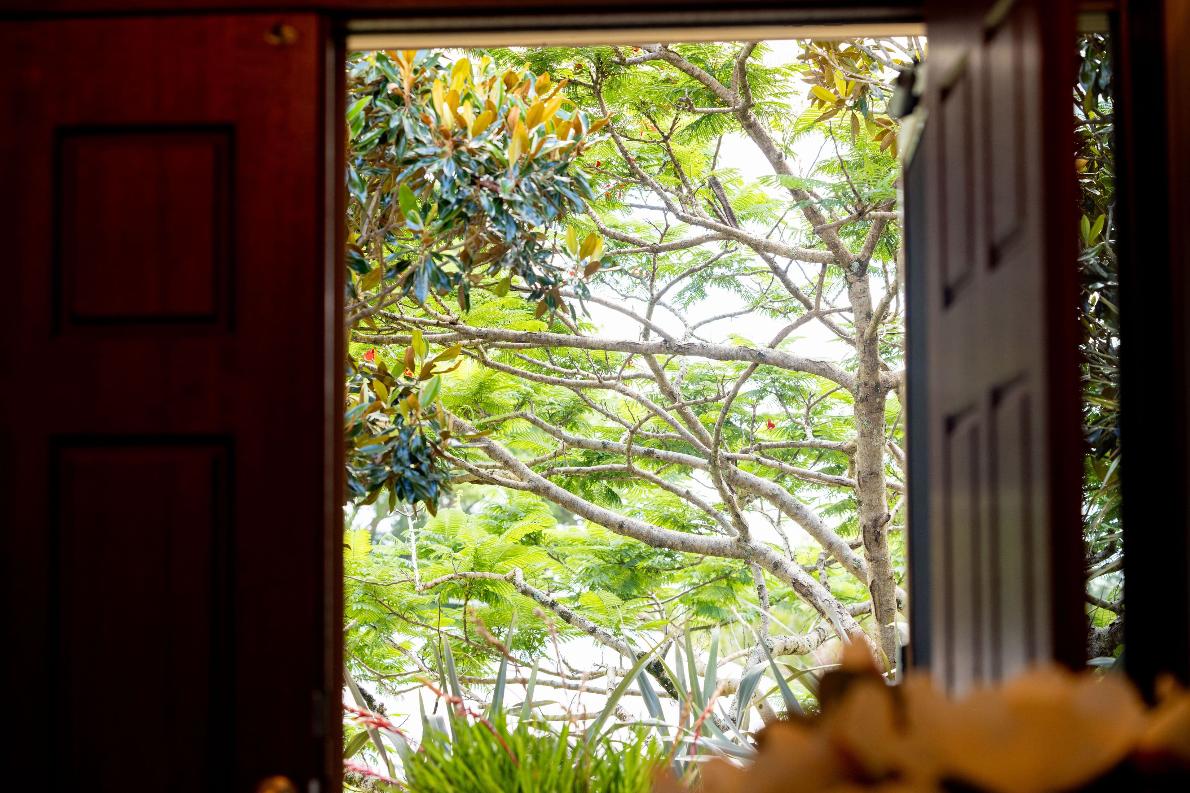 7 Macaranga Street, Maleny QLD 4552, Maleny - Thumbnail 6