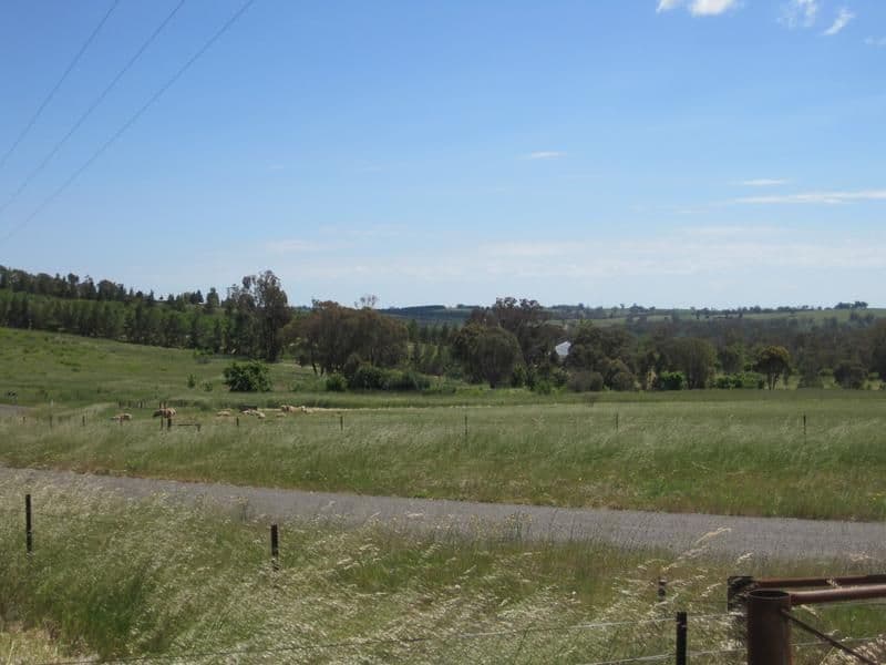 49 Cherry Vale Place, YOUNG NSW 2594, Young - Thumbnail 2