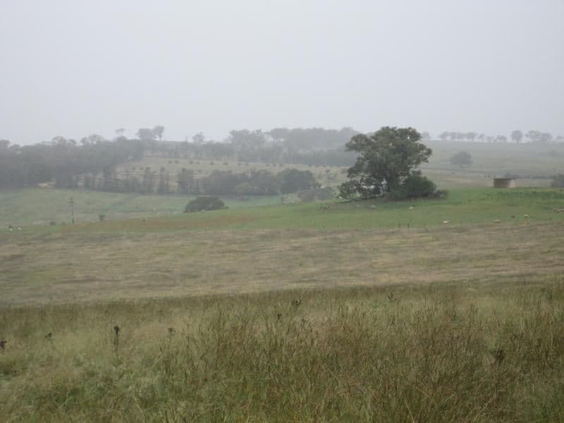 49 Cherry Vale Place, YOUNG NSW 2594, Young - Thumbnail 4