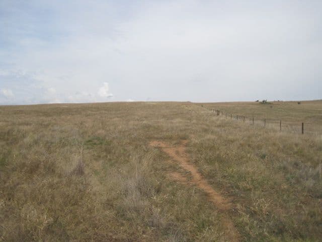 49 Cherry Vale Place, YOUNG NSW 2594, Young - Thumbnail 5