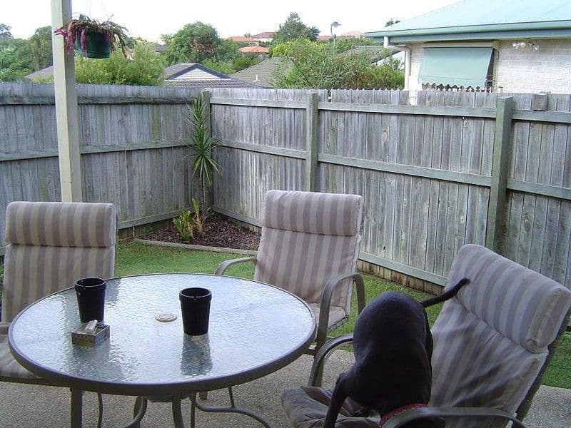 8 Phillips Place, WAKERLEY QLD 4154, Wakerley - Thumbnail 8