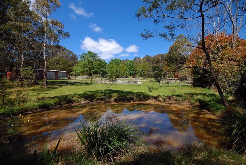 2 Elrington Lane, MAJORS CREEK NSW 2622, Majors Creek - Thumbnail 8