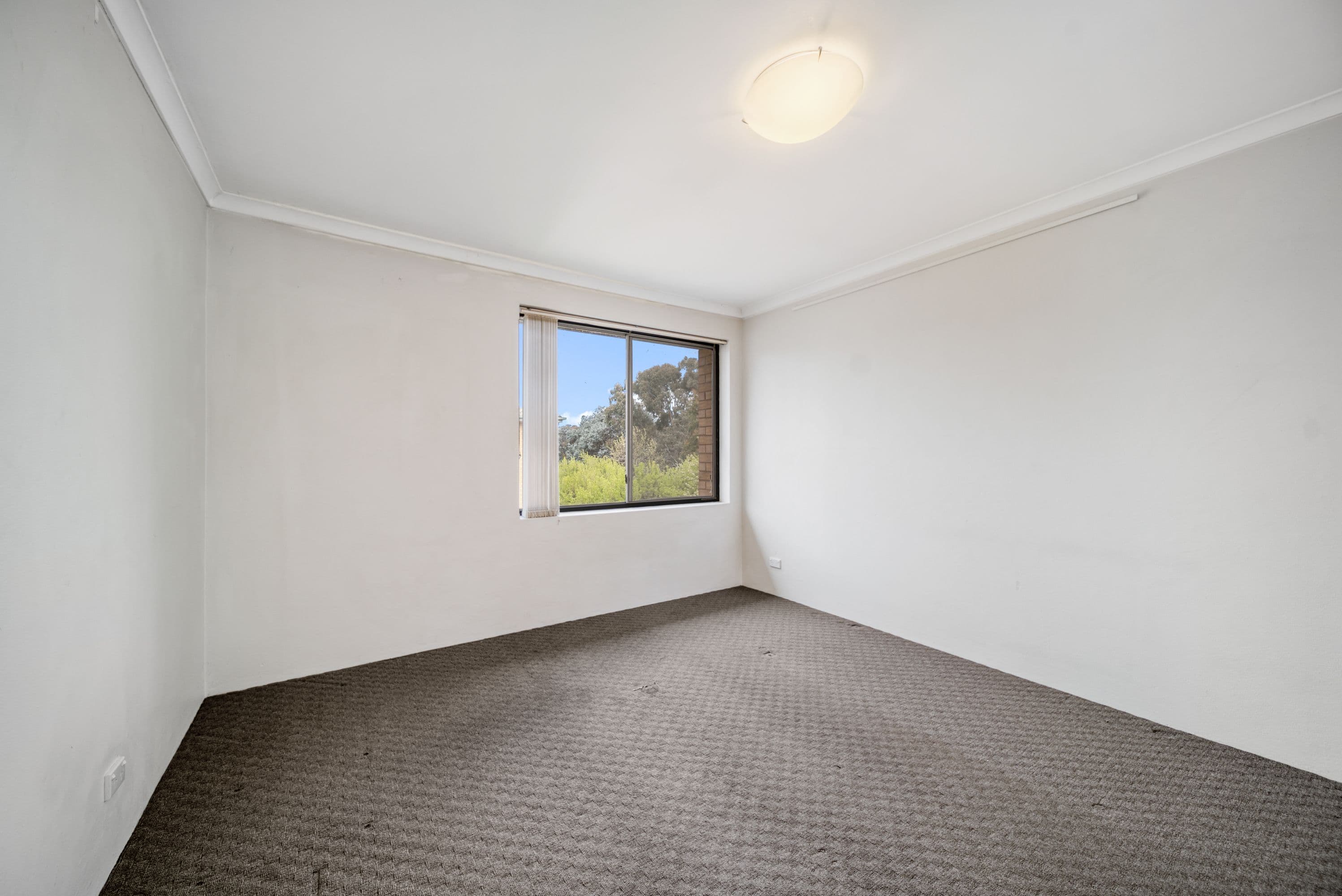 3 Waddell Place, Curtin ACT 2605, Curtin - Thumbnail 4