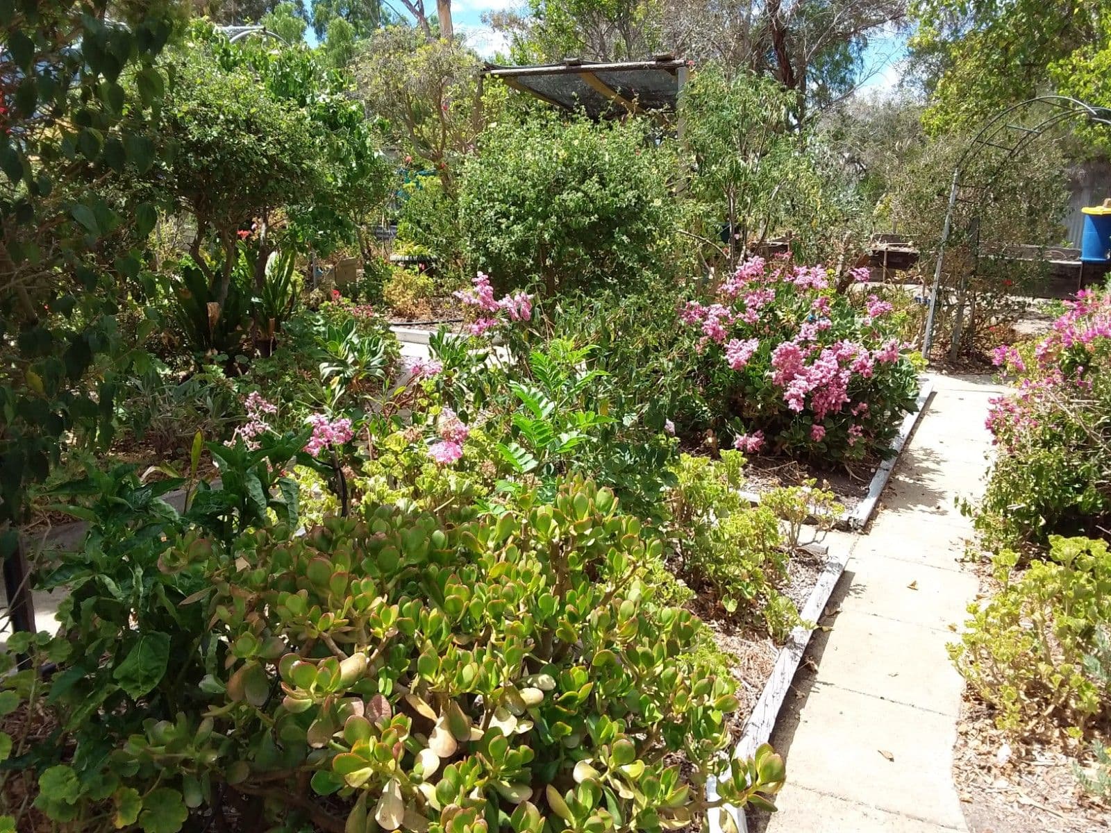 68 Norrish Street, Tambellup WA 6320, Tambellup - Thumbnail 2