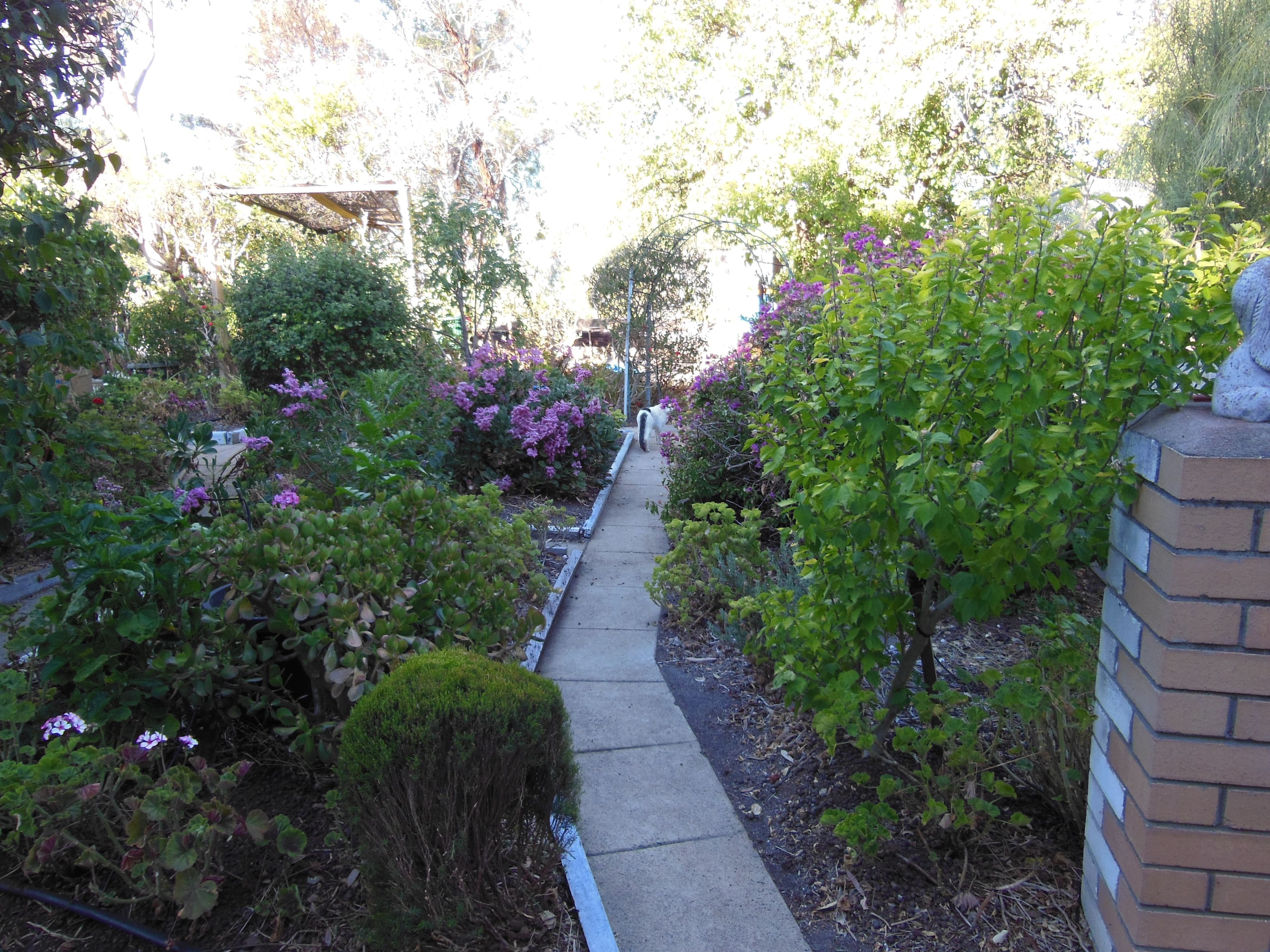 68 Norrish Street, Tambellup WA 6320, Tambellup - Thumbnail 4