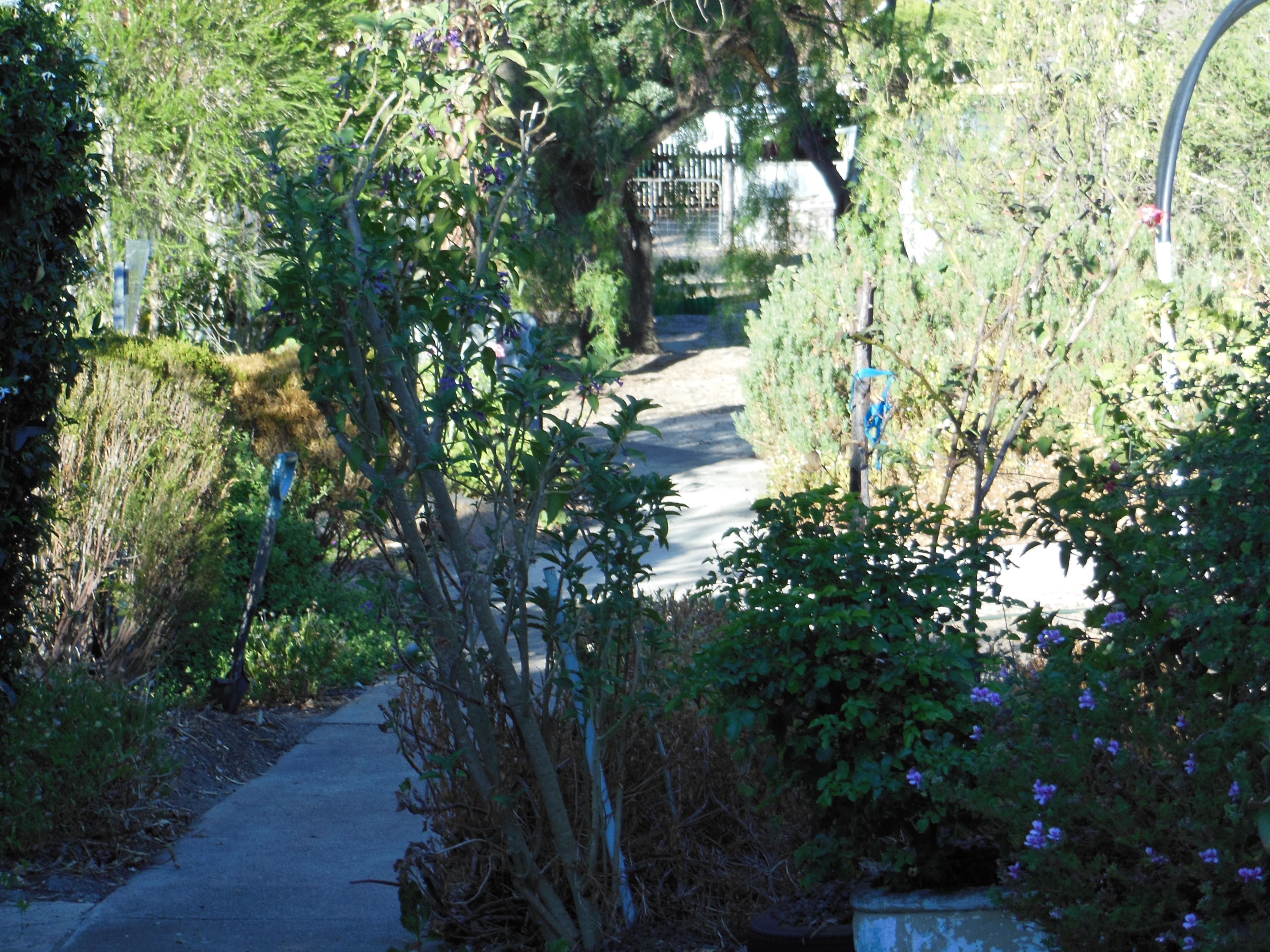 68 Norrish Street, Tambellup WA 6320, Tambellup - Thumbnail 5