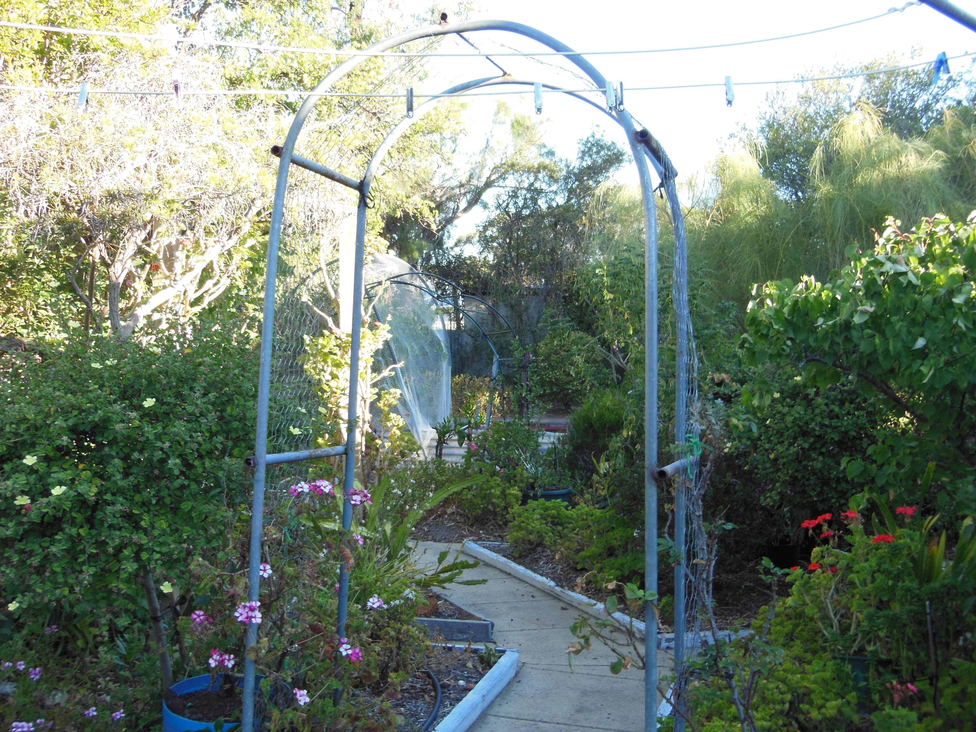 68 Norrish Street, Tambellup WA 6320, Tambellup - Thumbnail 6