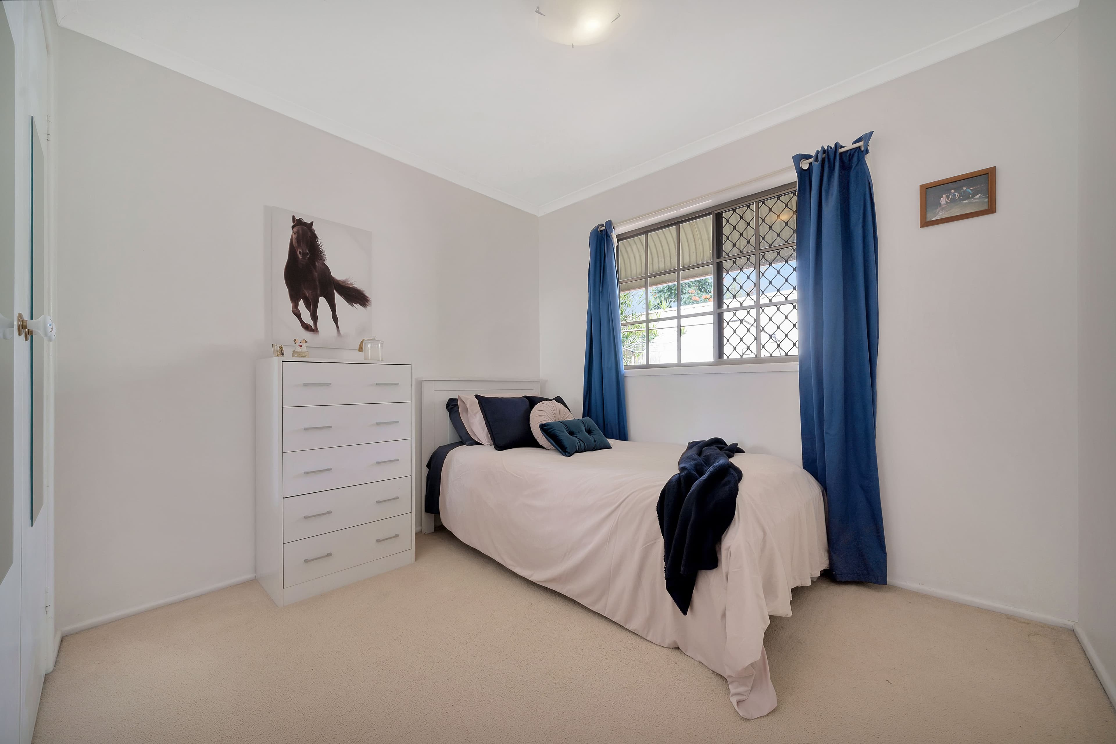 17 Ermington Street, Daisy Hill QLD 4127, Daisy Hill - Thumbnail 7