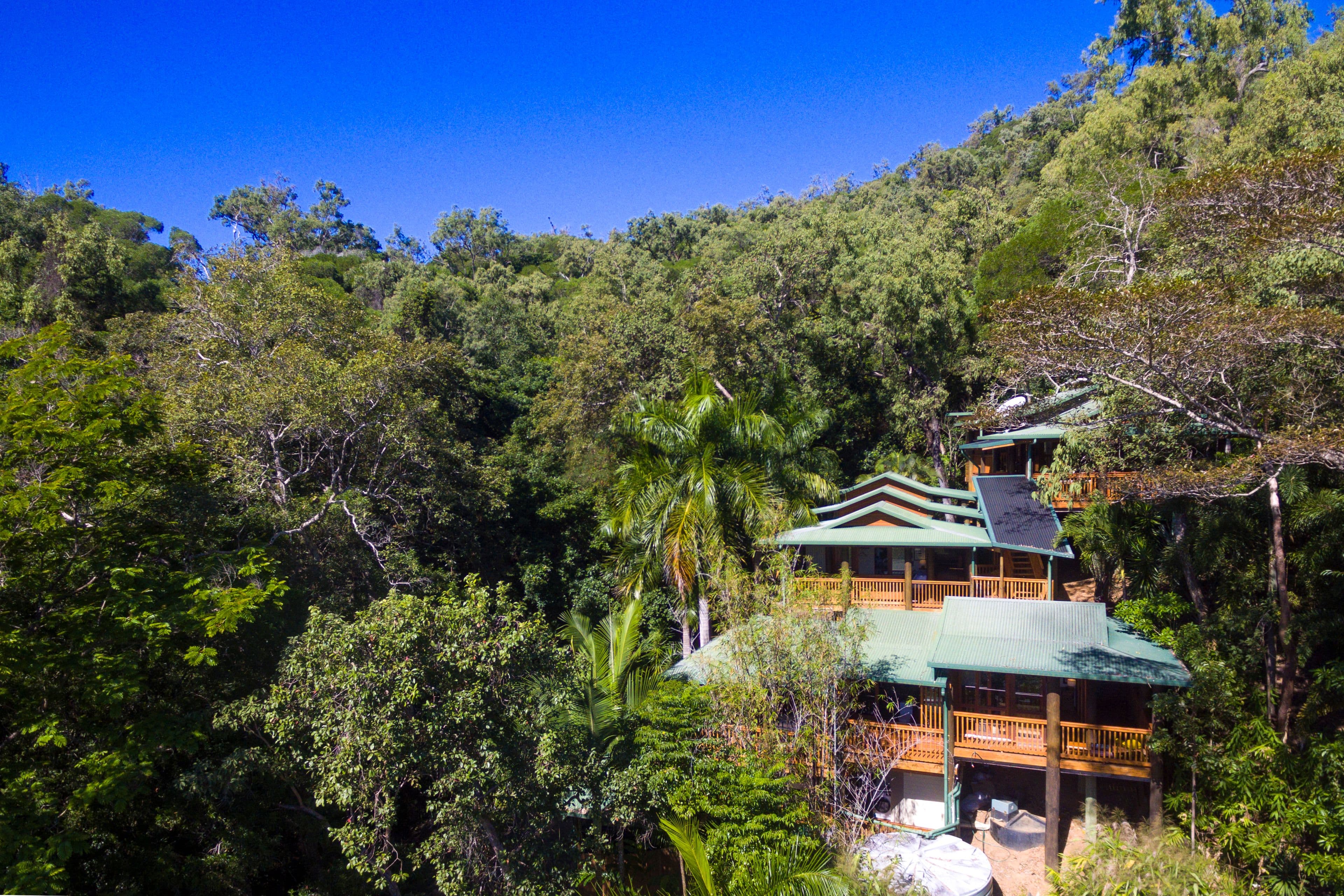 103 Trezise Road, Mowbray QLD 4877, Mowbray - Thumbnail 7