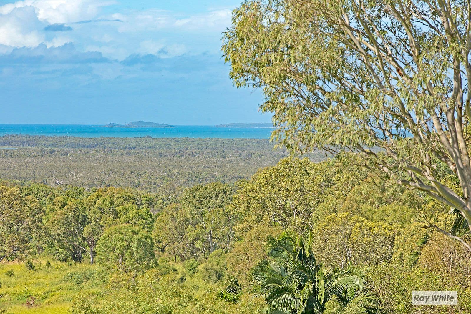 1085 Farnborough Road, Farnborough QLD 4703, Farnborough - Thumbnail 5