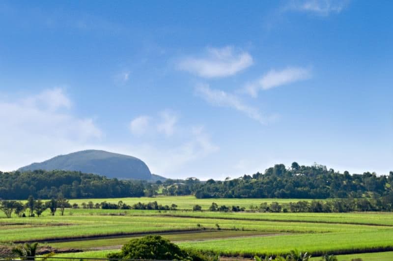1 Willis Road, BLI BLI QLD 4560, Bli Bli - Thumbnail 2