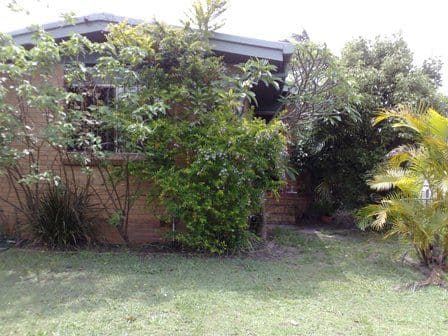 11 Foch, TUGUN QLD 4224, Tugun - Thumbnail 3