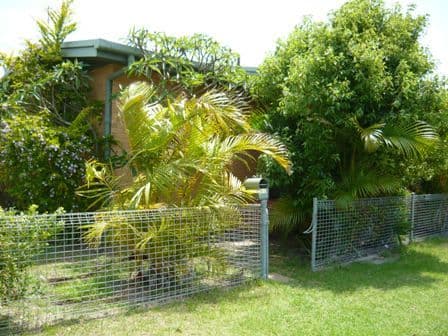 11 Foch, TUGUN QLD 4224, Tugun - Thumbnail 6