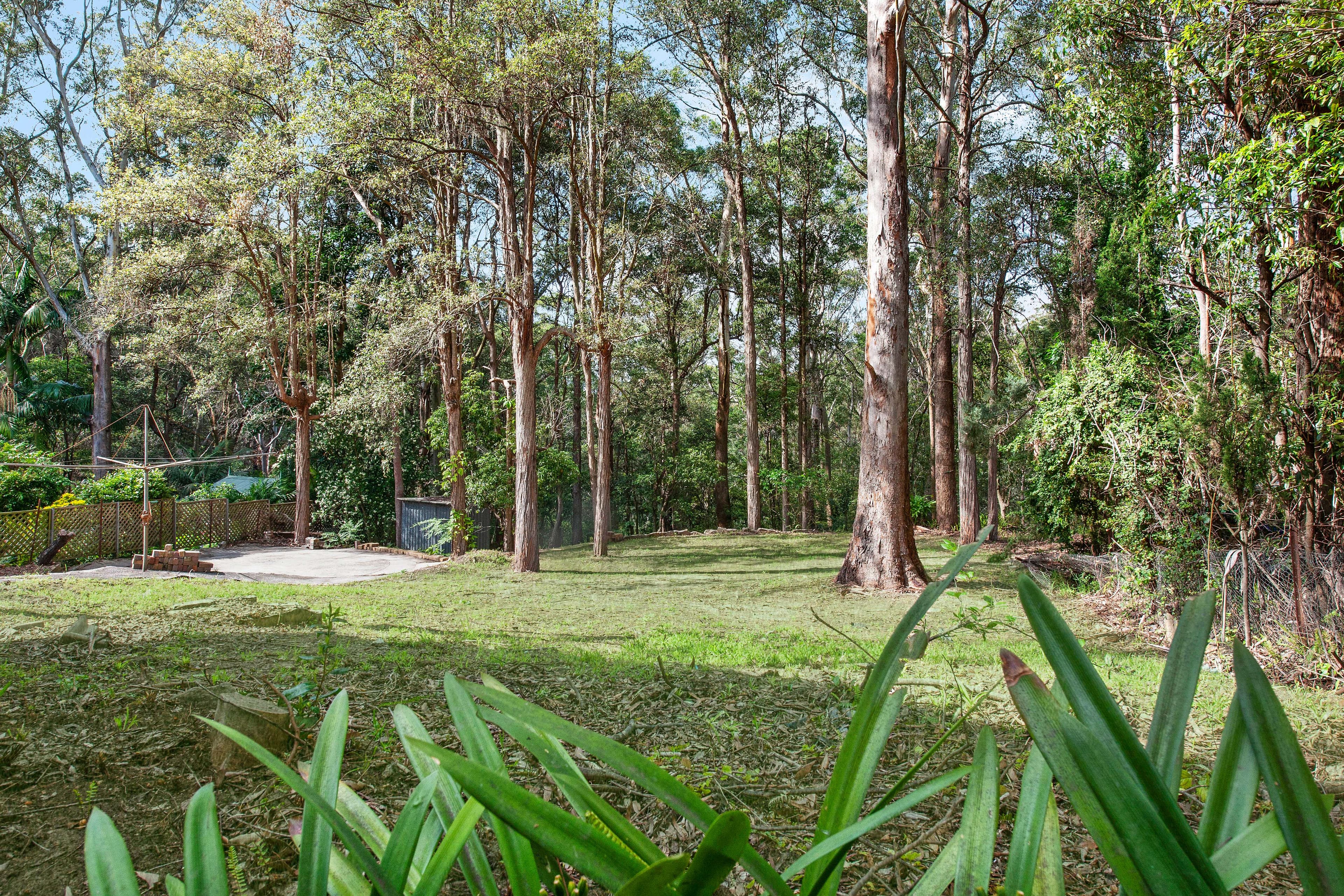 8 Palm Grove, Normanhurst - Thumbnail 2