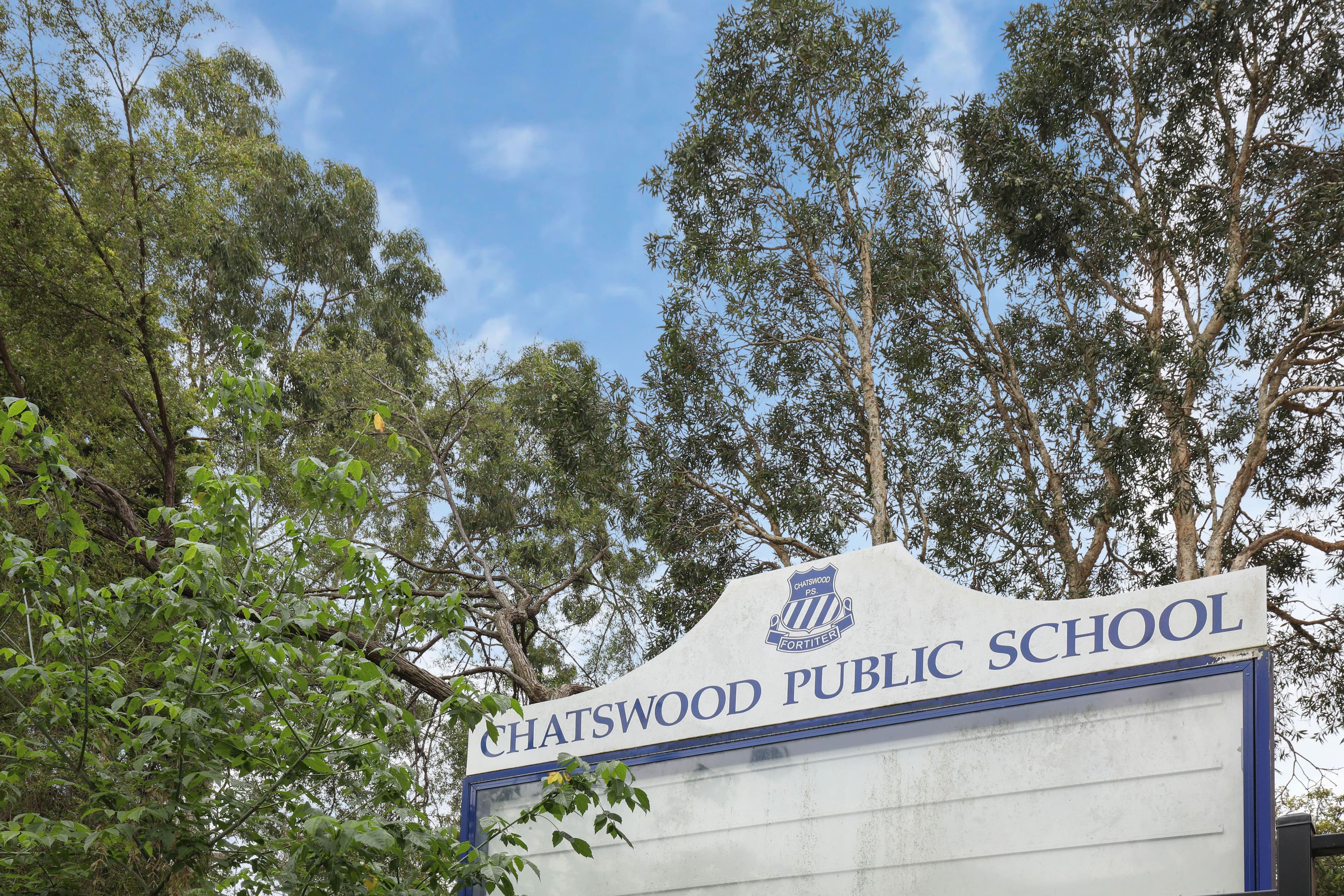 8 Centennial Avenue, Chatswood NSW 2067, Chatswood - Thumbnail 6