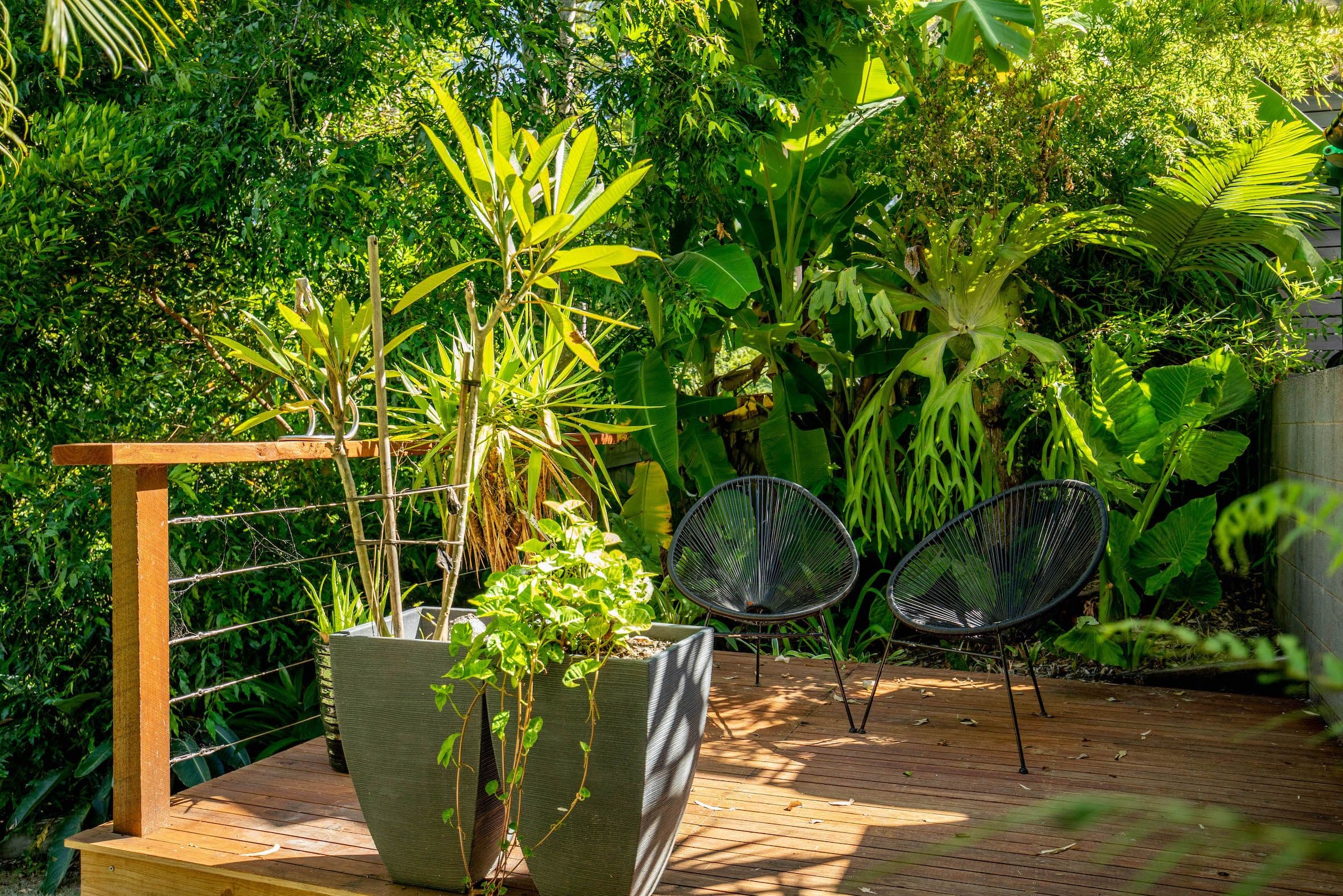 31 Hardwood Court, Buderim QLD 4556, Buderim - Thumbnail 4