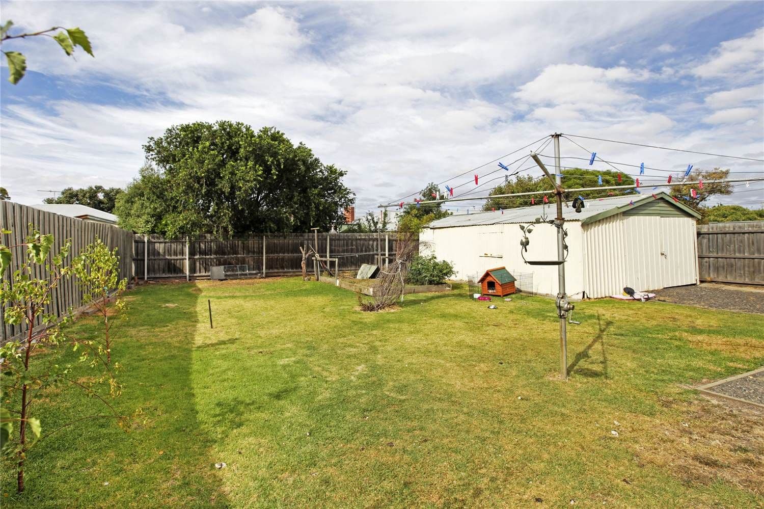 11 Finch Street, NORLANE VIC 3214, Norlane - Thumbnail 6