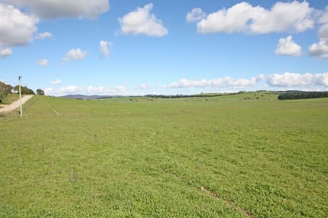 747 Mount Fairy Road, BUNGENDORE NSW 2621, Bungendore - Image 1