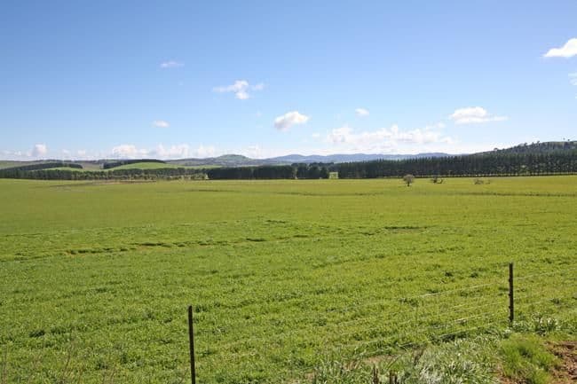 747 Mount Fairy Road, BUNGENDORE NSW 2621, Bungendore - Thumbnail 2