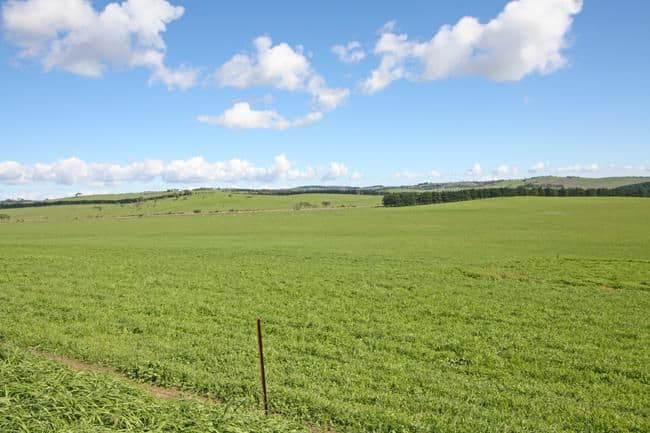 747 Mount Fairy Road, BUNGENDORE NSW 2621, Bungendore - Thumbnail 3