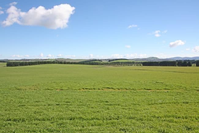 747 Mount Fairy Road, BUNGENDORE NSW 2621, Bungendore - Thumbnail 4