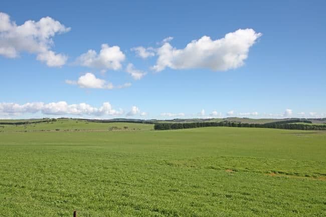 747 Mount Fairy Road, BUNGENDORE NSW 2621, Bungendore - Thumbnail 5