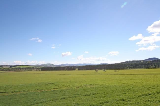 747 Mount Fairy Road, BUNGENDORE NSW 2621, Bungendore - Thumbnail 6