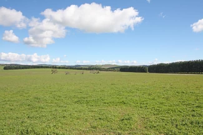 747 Mount Fairy Road, BUNGENDORE NSW 2621, Bungendore - Thumbnail 7