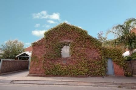 2a Watkins Street, PROSPECT SA 5082, Prospect - Thumbnail 2
