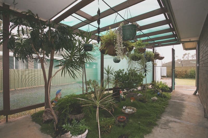 33 Geddes Court, ST AGNES SA 5097, St Agnes - Thumbnail 3