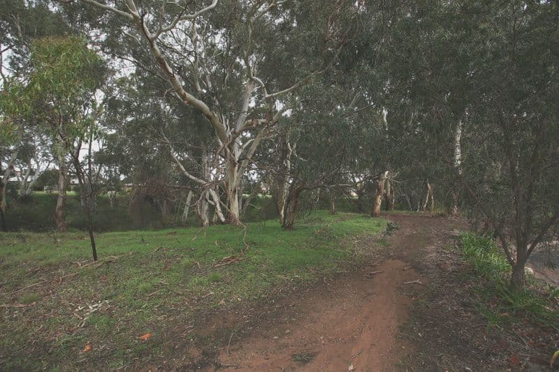 33 Geddes Court, ST AGNES SA 5097, St Agnes - Thumbnail 6