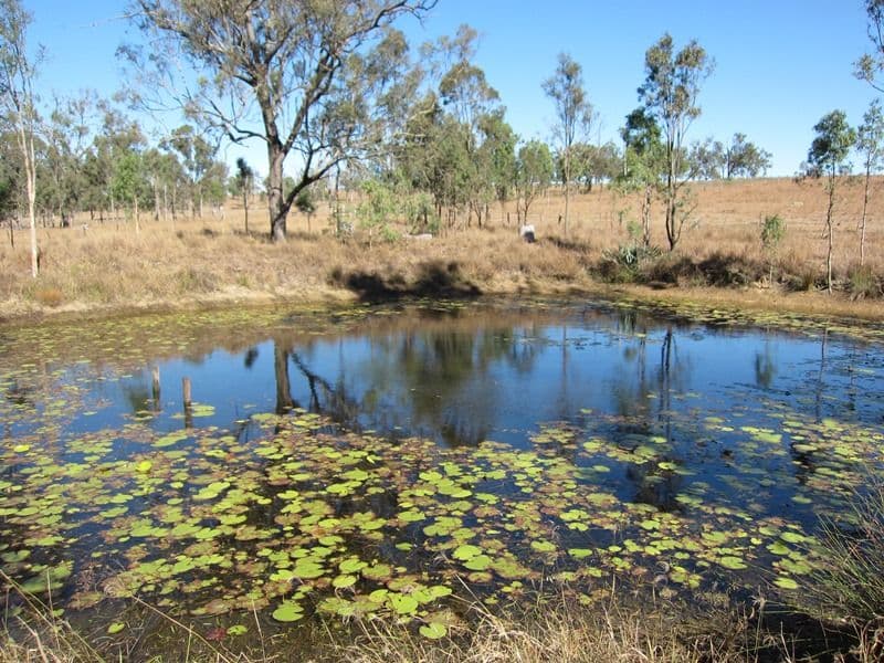 BRAEMORE QLD 4313, Braemore - Thumbnail 5