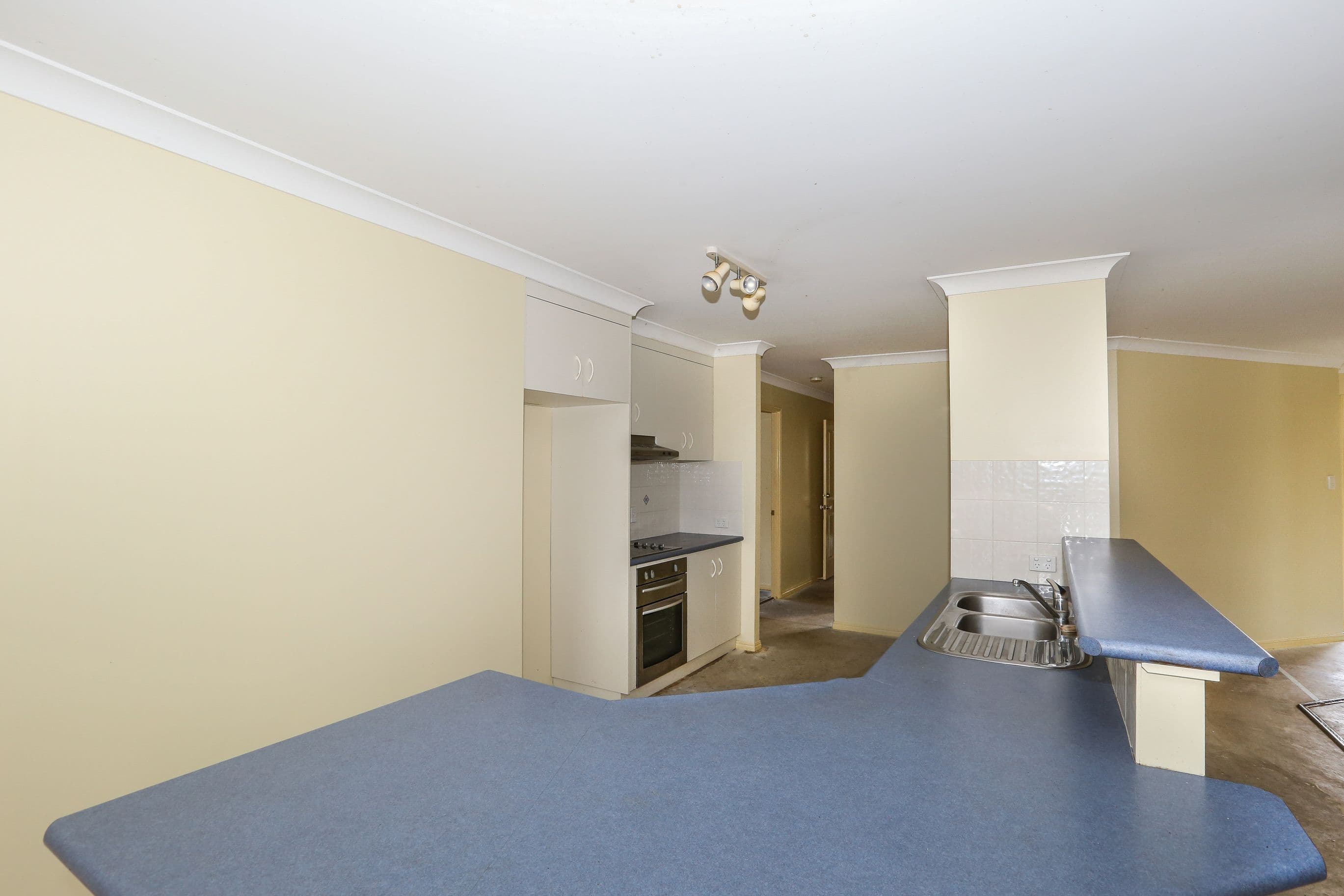 12 McDonald Court, Wyreema QLD 4352, Wyreema - Thumbnail 3
